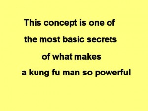 Tai_Chi_Full_Body_Power-ThisConceptIsOne