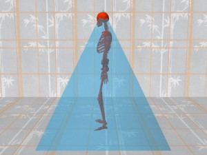 Tai_Chi_Pyramids_And_Grounding-PyramidOnSkeletonProfileView
