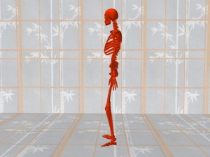 Tai_Chi_Pyramids_And_Grounding-SkeletonNormalStandingPosture