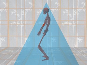 Tai_Chi_Pyramids_And_Grounding-TaiChiSkeletonWithinPyramid