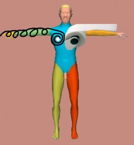 The_Yin_Yang_Body_View-SpiralTowelOnHuman