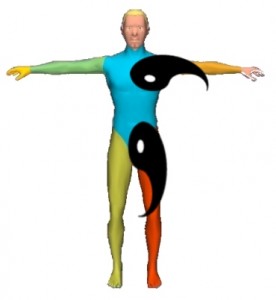 The_Yin_Yang_Body_View-YinYangOnHuman