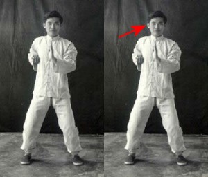 Unbalanced_Wing_Chun_Stance-RightEarVisible