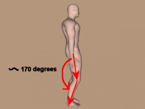 Wing_Chun_And_Triangles_01-LargeHipFootAngle