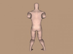 Wing_Chun_And_Triangles_01-SilLumTauStanceRear
