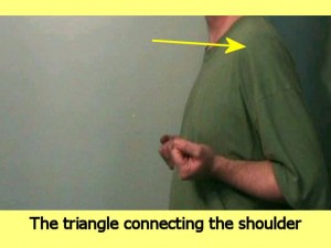 Wing_Chun_And_Triangles_Video-HighlightShoulderBeginPosition