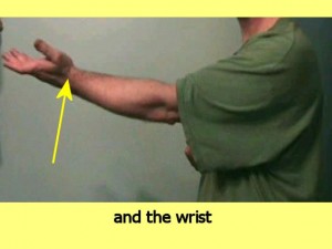 Wing_Chun_And_Triangles_Video-HighlightWrist