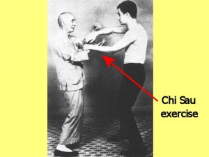 Wing_Chun_And_Triangles_Video-LabelChiSauExercise