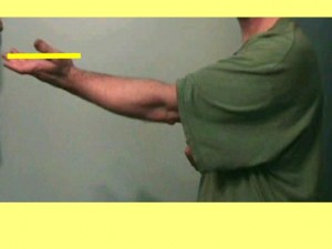 Wing_Chun_And_Triangles_Video-PalmHeldFlat