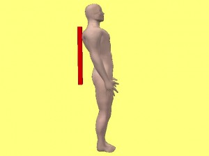 Yin_Yang_Body_Training_001-BackTouchingVerticalStick