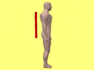Yin_Yang_Body_Training_001-VerticalStickBehindMan