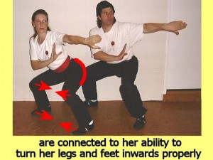 Ba_Gua_Stance_Comparison-AreConnectedToHer