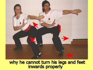 Ba_Gua_Stance_Comparison-AreWhyHeCannot