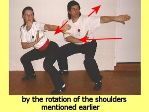 Ba_Gua_Stance_Comparison-ByTheRotationOf