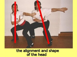Ba_Gua_Stance_Comparison-HeadAlignmentAndShape