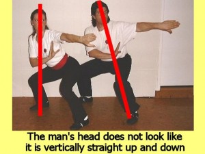 Ba_Gua_Stance_Comparison-HeadAnglesCompare