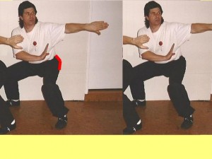 Ba_Gua_Stance_Comparison-MansButtocksFlatAngular