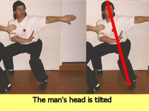 Ba_Gua_Stance_Comparison-MansHeadTilted