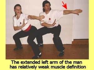 Ba_Gua_Stance_Comparison-MansLeftArmWeak