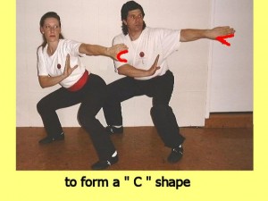 Ba_Gua_Stance_Comparison-MansLeftHandNotCShaped