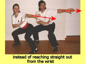 Ba_Gua_Stance_Comparison-MansLeftHandNotStraight