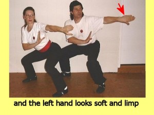 Ba_Gua_Stance_Comparison-MansLeftHandSoft