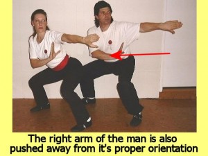 Ba_Gua_Stance_Comparison-MansRightArmPushedAway