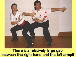 Ba_Gua_Stance_Comparison-MansRightHandGap