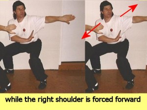 Ba_Gua_Stance_Comparison-MansRightShoulderForwards