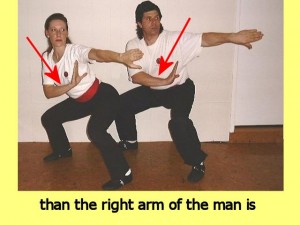 Ba_Gua_Stance_Comparison-ThanTheRightArm