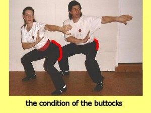 Ba_Gua_Stance_Comparison-TheConditionOfTheButtocks