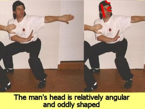 Ba_Gua_Stance_Comparison-TheMansHeadIs