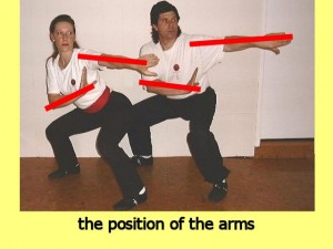 Ba_Gua_Stance_Comparison-ThePositionOfTheArms