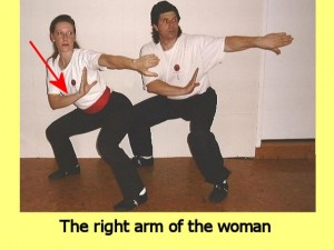 Ba_Gua_Stance_Comparison-TheRightArmOf