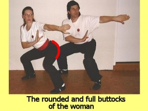 Ba_Gua_Stance_Comparison-TheRoundedAndFull