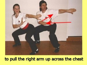 Ba_Gua_Stance_Comparison-ToPullTheRight