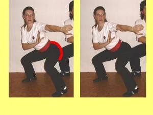 Ba_Gua_Stance_Comparison-WomansButtocksMostlyCurved
