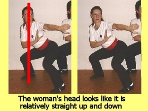 Ba_Gua_Stance_Comparison-WomansHeadStraightUpDown