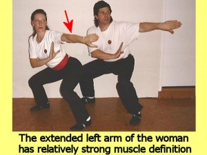 Ba_Gua_Stance_Comparison-WomansLeftArmStrong
