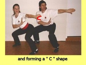 Ba_Gua_Stance_Comparison-WomansLeftHandCShape
