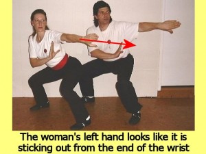 Ba_Gua_Stance_Comparison-WomansLeftHandDirection