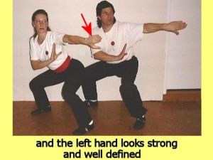Ba_Gua_Stance_Comparison-WomansLeftHandStrong