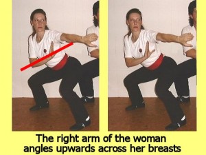 Ba_Gua_Stance_Comparison-WomansRightArmAngle