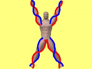 Ba_Gua_Strengthens_Spirals-ActualLimbSpiralDimensions