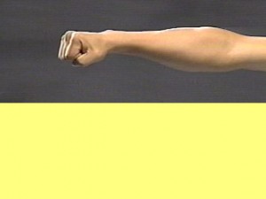 Ba_Gua_Strengthens_Spirals-BaGuaForearm