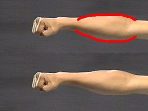 Ba_Gua_Strengthens_Spirals-BaGuaForearmElliptical