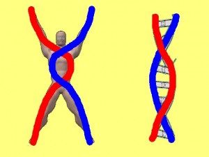 Ba_Gua_Strengthens_Spirals-BodyDNAMoleculeSpirals