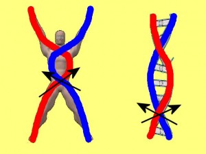 Ba_Gua_Strengthens_Spirals-FirstSpiralCrossover