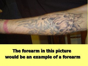 Ba_Gua_Strengthens_Spirals-ForearmWithWeakSpirals