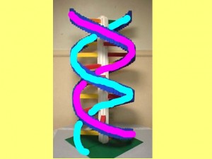 Ba_Gua_Strengthens_Spirals-HighlightLegoDNASpirals